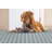 Cathylee Geometric Indoor / Outdoor Rug-846112105