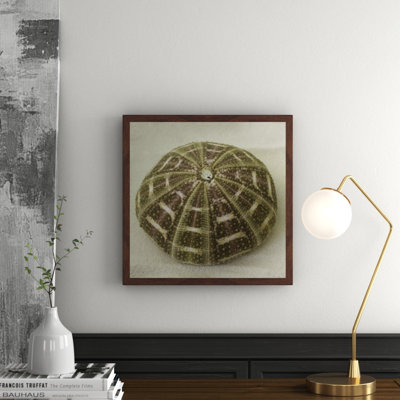 Judy Stalus - Single Picture Frame Print