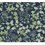 Mildred Black Botanical Trail Wallpaper-2032284426