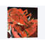 « abstract homard v », impression sur toile-32496834-72148811-72148813
