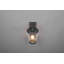 Evelore Outdoor Armed Sconce