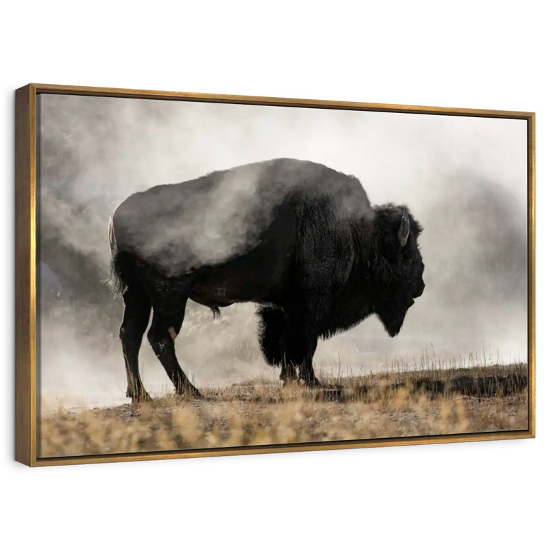 Geyser Basin, Floating Frame Gold, 13" X 9"