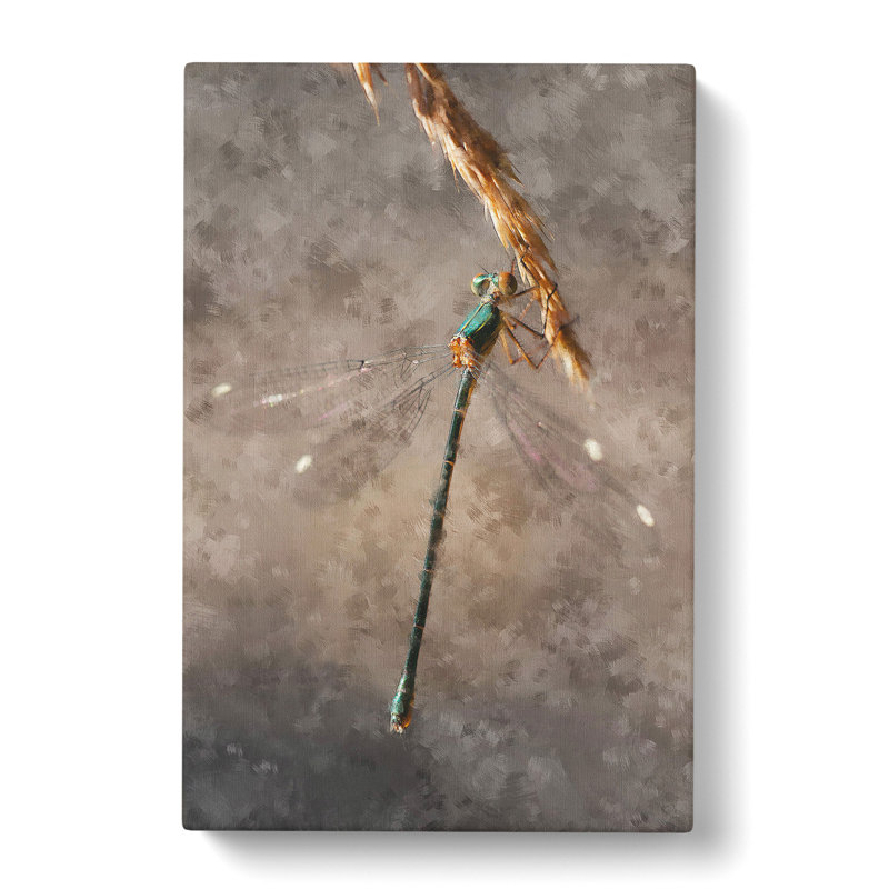 Dragonfly Vol.4 - Wrapped Canvas Print, 76cm H x 50cm W x 3cm D