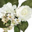 Mélange de pivoines et d'hortensias-1756509076