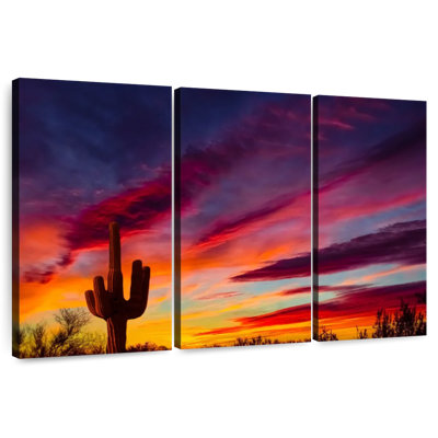 Cactus Alvord Saguaro