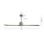 Ventilateur de plafond d'intérieur à 5 pales Baun avec télécommande-1027365108-1038471773-1049430248