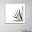 Agave I Print by Jess Engle-48615480-48615484