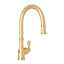 Georgian Era™ Pull-Down Single Handed Kitchen Faucet With Accessories-54637366