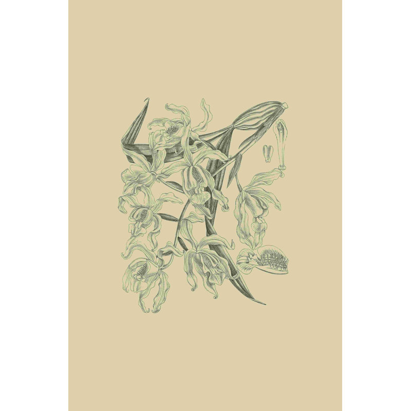 Orchidée sur kaki II, H 18 po x l 12 po