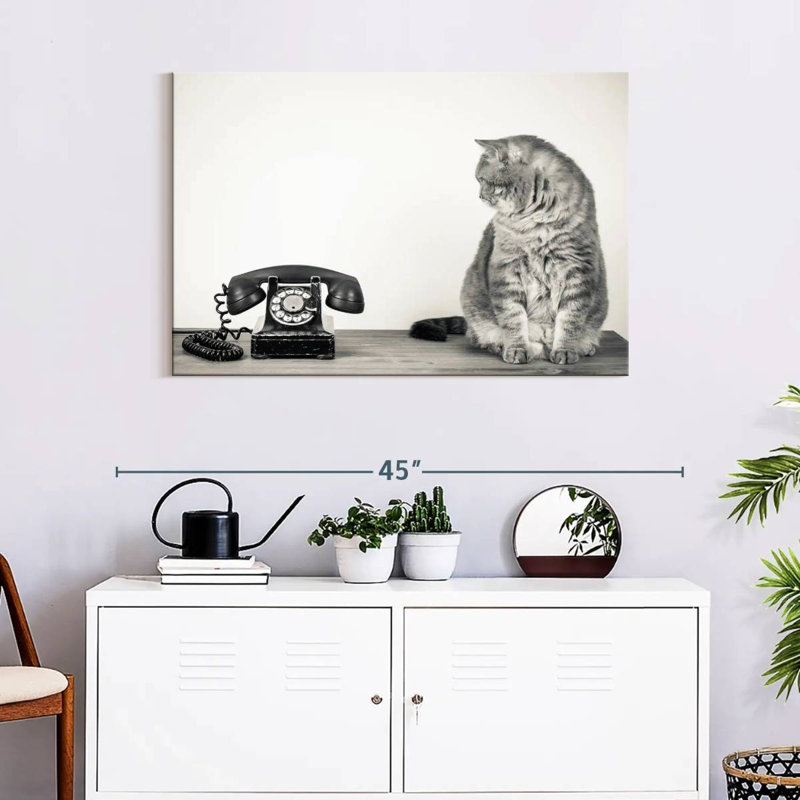 Brampt Vintage Cat, 24" H x 36" W