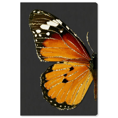 " Animals Monarch And Glitter Butterfly, Cabin / Lodge Orange "