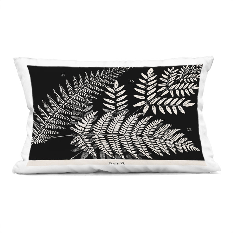 Coussin décoratif imprimé Fern Variétés on Black par Phillipa Katz, Fougères 1