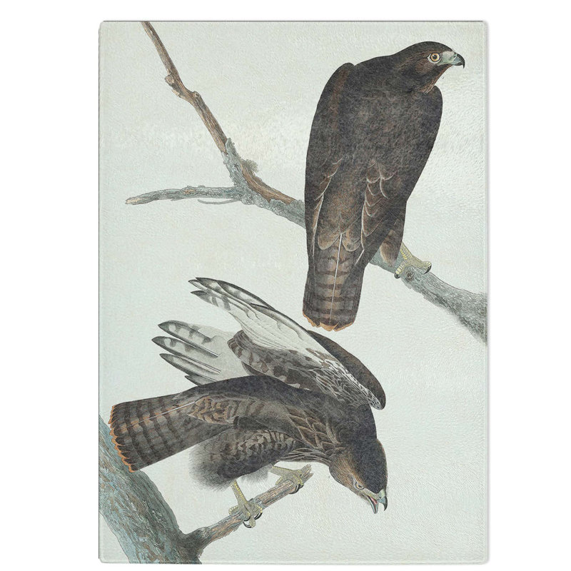 Tempered Glass Two Hawks by John James Audubon Chopping Board, 20 cm W x 28.5 cm L