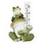 5 po Pluviomètre de table grenouille en polyrésine
