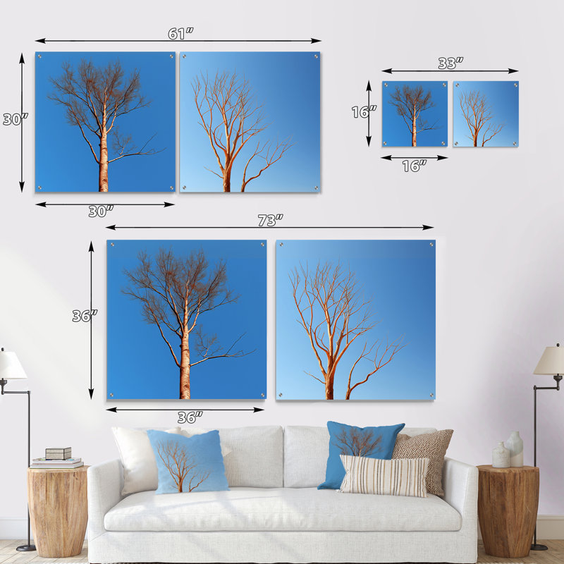 «Blue Timbers Trace Photo», ensemble de 2 verres muraux en acrylique, H 16 po x l 33 po