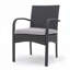 Fauteuil club d'extérieur en rotin d'osier-199886674