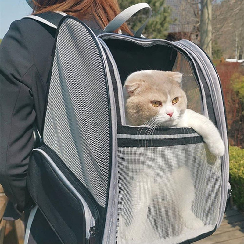 Sac de transport portable pour animaux avec fenêtres en filet respirantes - Sac à dos pliable pour chat / chien d'intérieur / extérieur