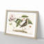 Mockingbird by Mark Catesby - Picture Frame Painting Print-55733463-55733459