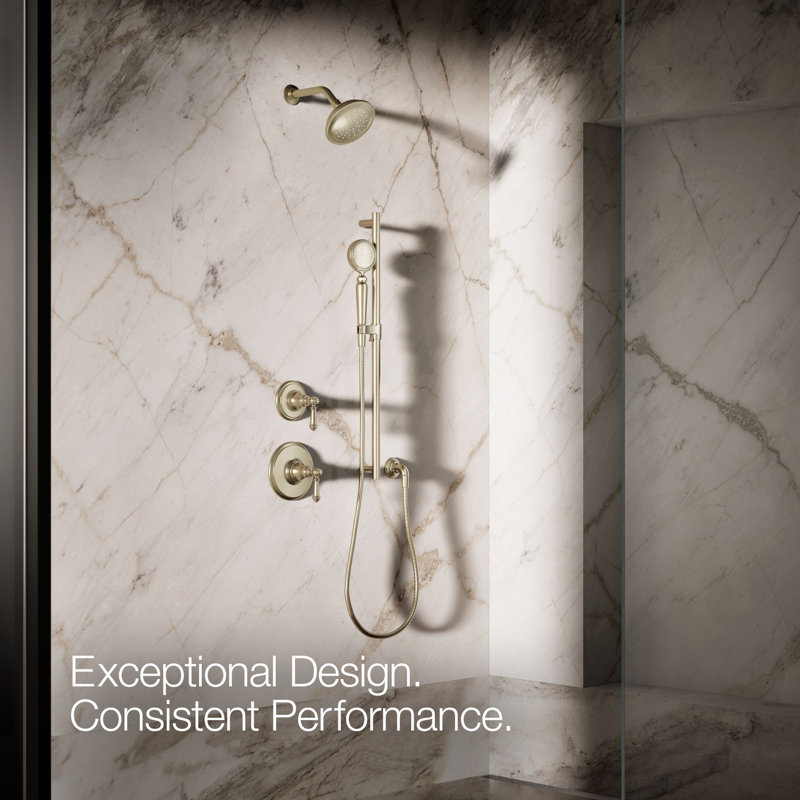 Artifacts Single-Function Handshower, 2.5 Gpm, Vibrant Brushed Bronze