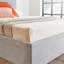 Lampkins Upholstered Ottoman Storage Bed with Mattress-6539477