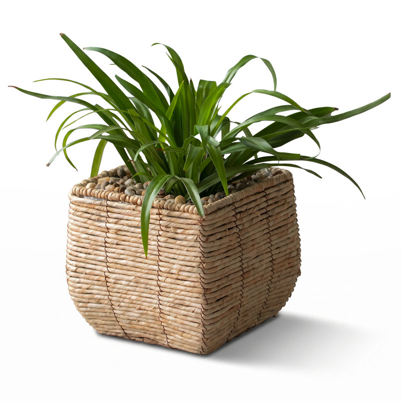 Pot de fleurs en osier à arrosage automatique McKenna, H 8,25 po x l 8,75 po x P 8,75 po