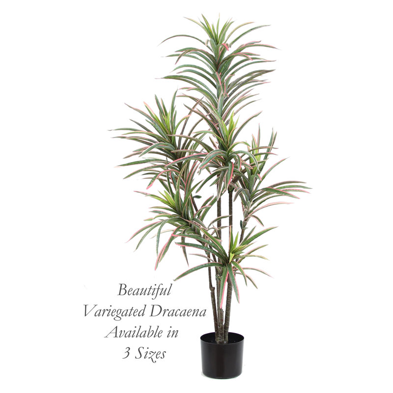 Dracaena artificiel en pot, H 48 po x l 26 po x P 20 po