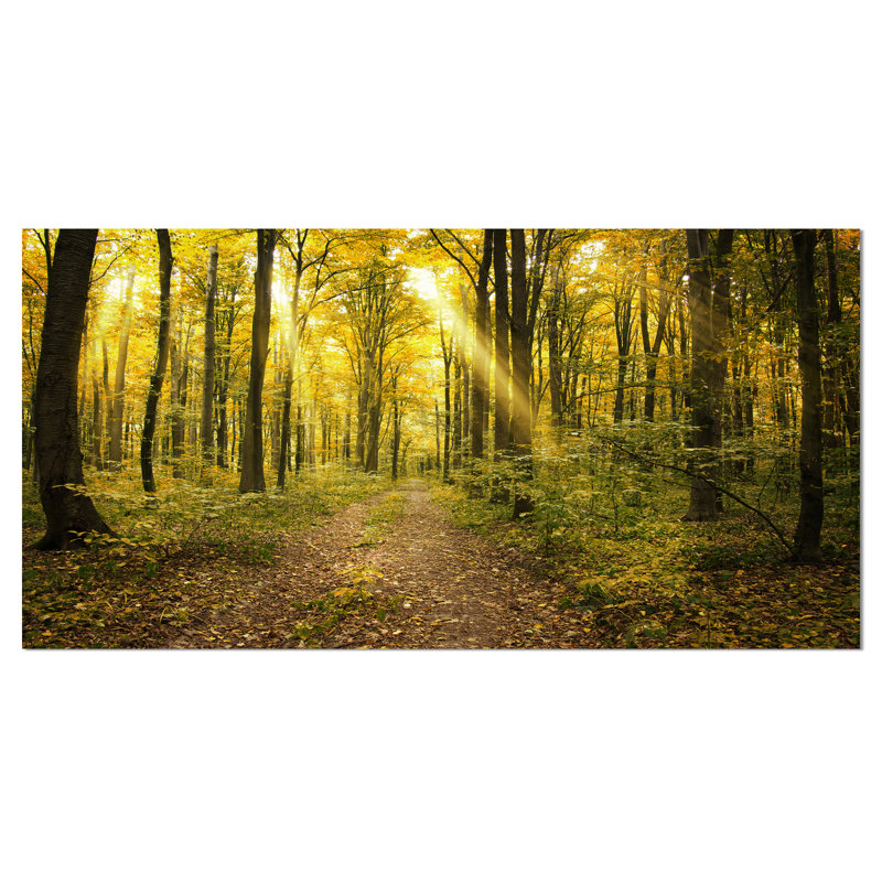«Sunset in Green Autumn Forest», reproduction de photo sur toile tendue, H 16 po x l 32 po