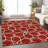 Premium Machine Washable Prisco Red Rug-945271022