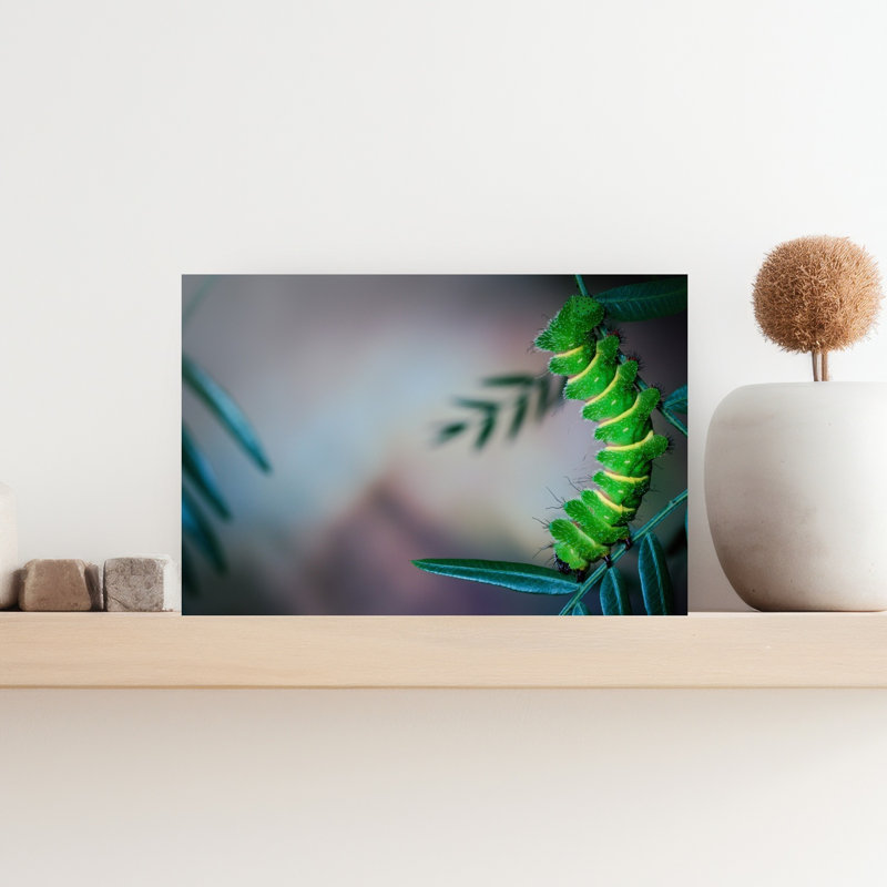 Vibrant Green Caterpillar Colorful Vibrant Animal Nature Wall Art Print 1 Piece Wrapped Canvas Wall Art