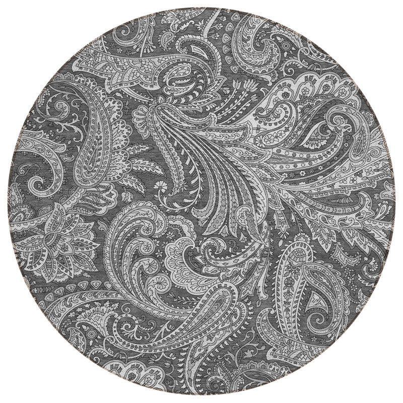 Fareham Washable Paisley Indoor / Outdoor Rug, Round 8'