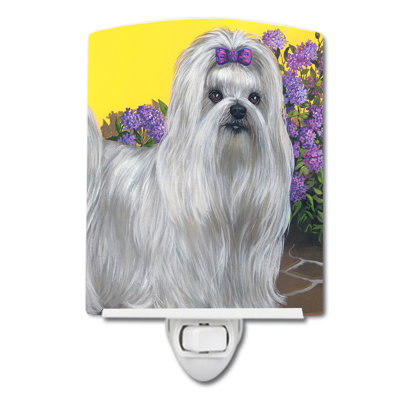 Veilleuse Westie