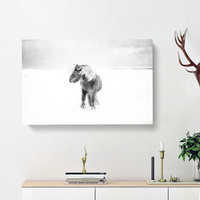 Wild Horse in Iceland - Wrapped Canvas