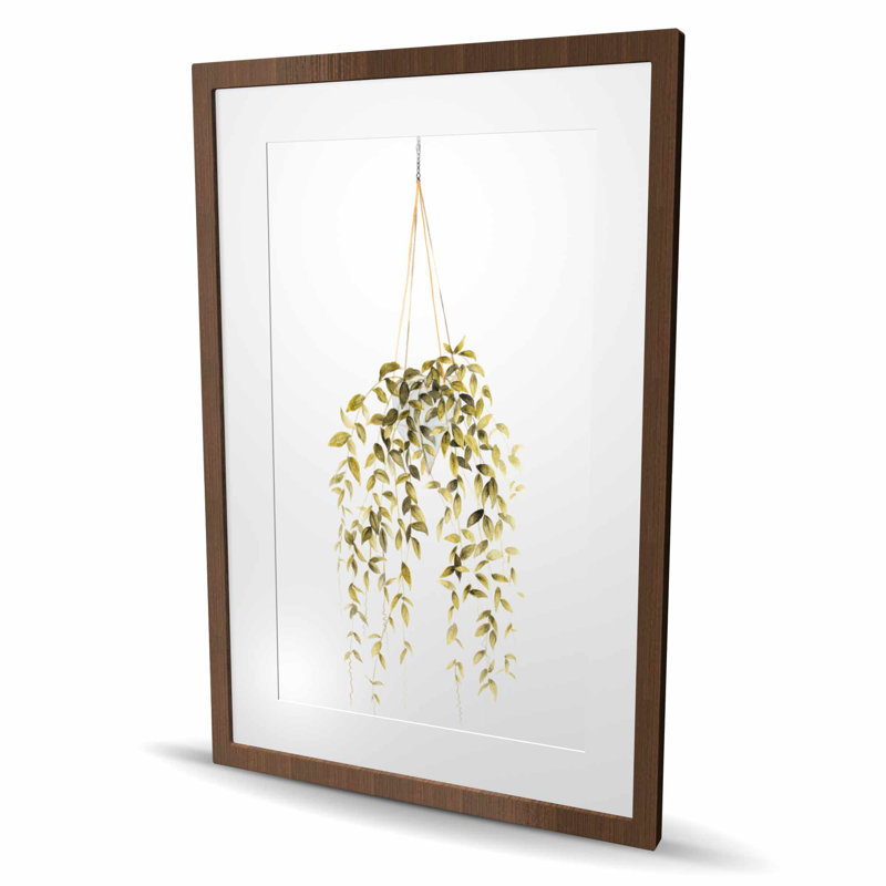 «Hanging Plant», impression florale encadrée pour décoration