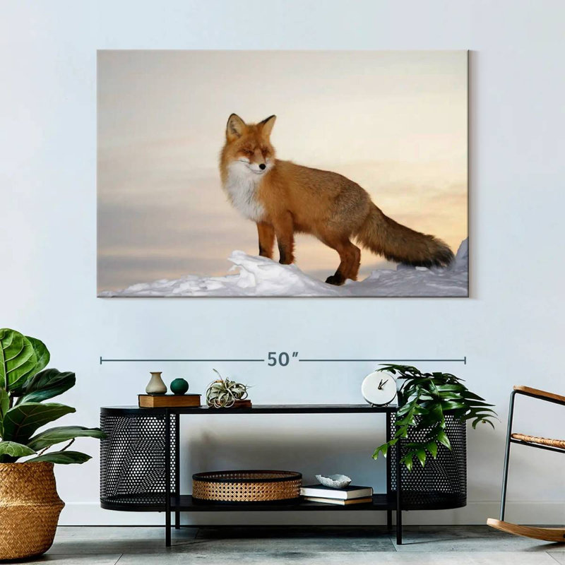 Brampt Majestic Fox