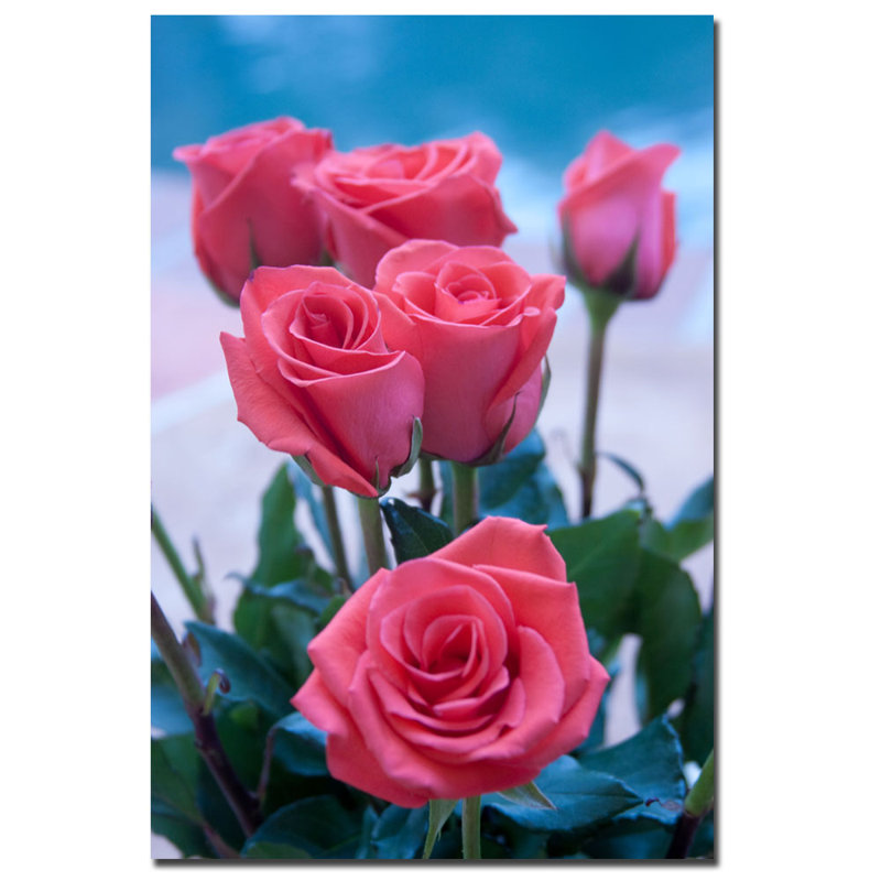 « rose bouquet » par martha guerra, reproduction de photo sur toile