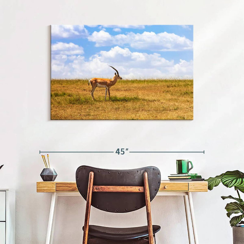 Gazelle Brampt dans la savane, H 26 po x l 39 po