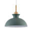 Luminaire suspendu simple 1 lumière-1153126891