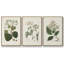 Forêt arctique I 3 pièces-97758021-97758025