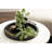 Round Ottoman Tray with Metal Handles-710523730