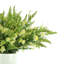 Wild Floral Arrangement in a Pot