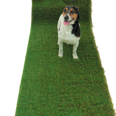 Fleur De Lis Living Artificial Grass