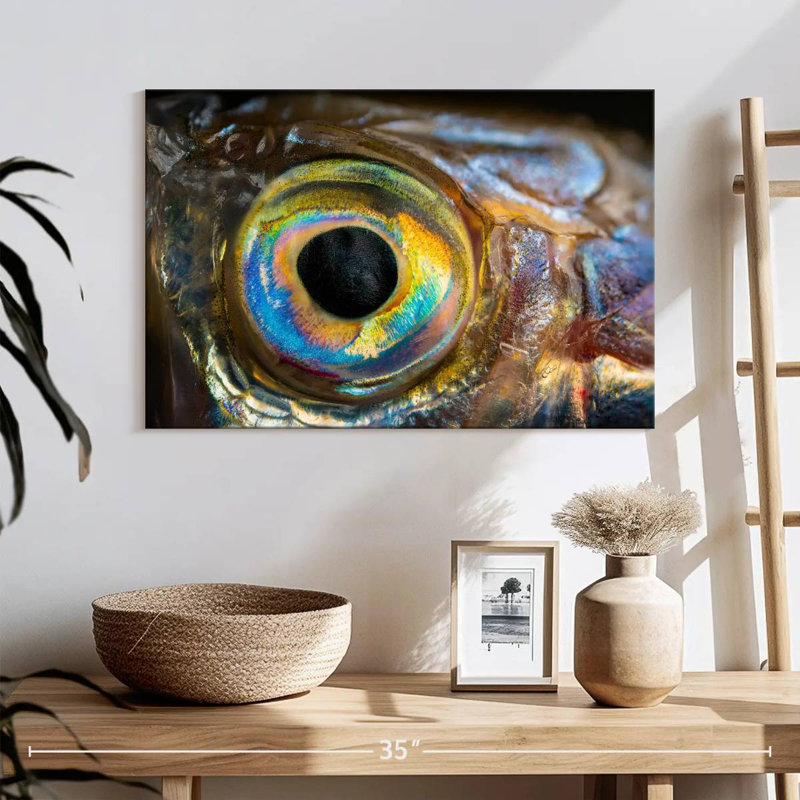 Brampt Iridescent Fish Eye, 16'' H x 24'' W