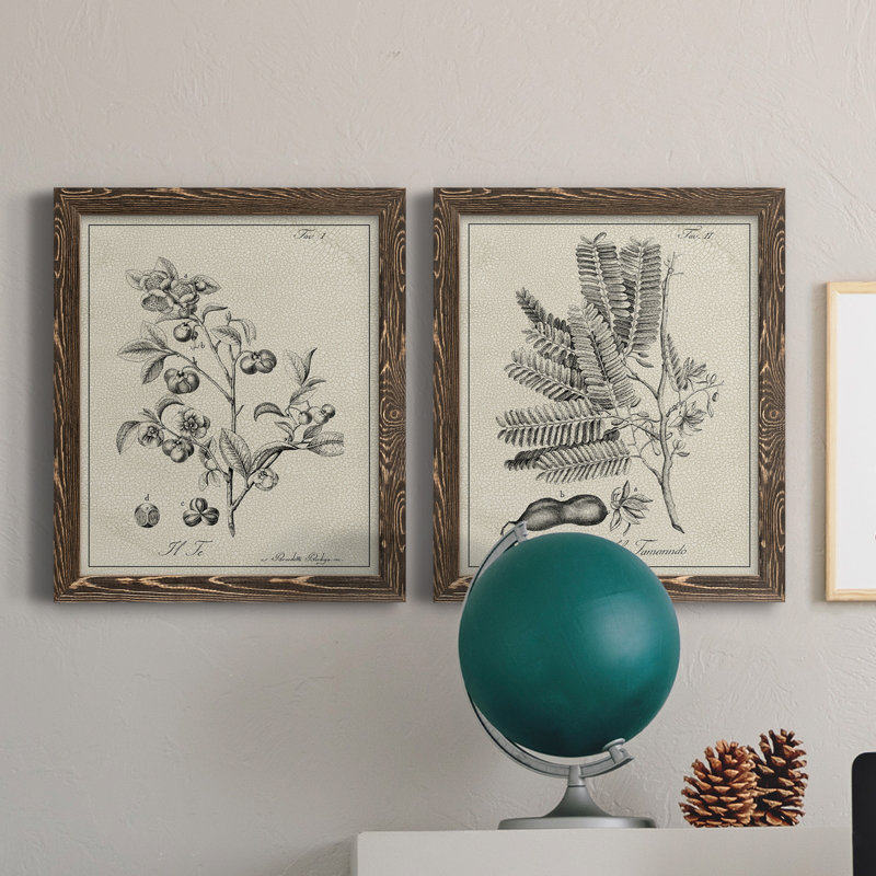 «Antique Black and White Botanical IV», ensemble de 2 reproductions d'art sur toile, H 24 po x l 36 po x P 1,5 po