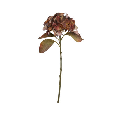 Anastasija Arrangement