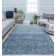 Beki Performance Ombre Indoor Rug