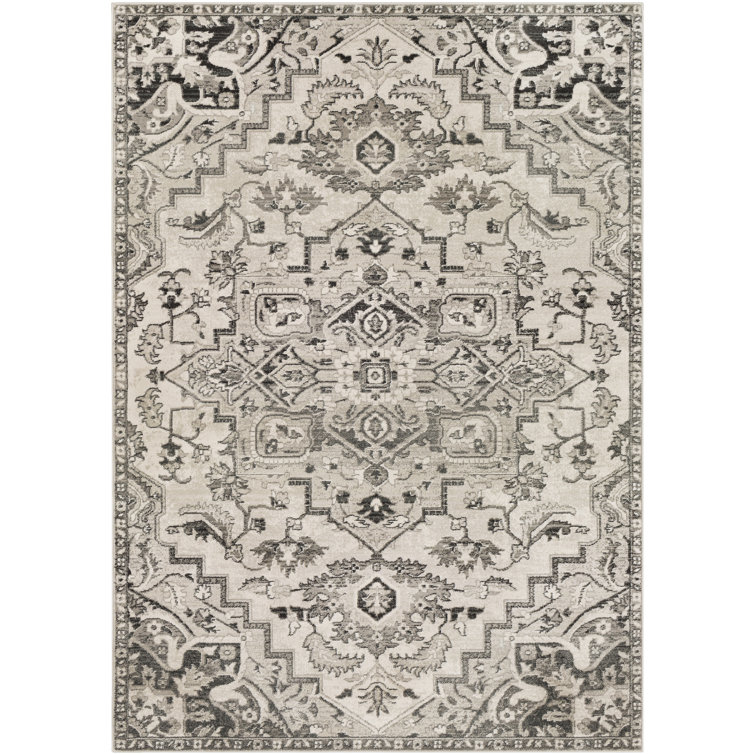 Minneapolis Oriental Indoor Rug