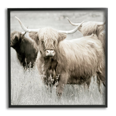 " Highland Cattle Country Meadow " by Danita Delimont