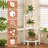 3-Tier Corner Shelf with Sturdy 5-Leg Base, Wooden Corner Bookcase for Small Spaces, Wooden Plant Display Shelf, Thin Bookshelf for Living Room, Bedroom, Office (White)-360925607-360925608