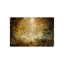 Undeniable Beauty Print by Sofia Fox-26706475-26706478