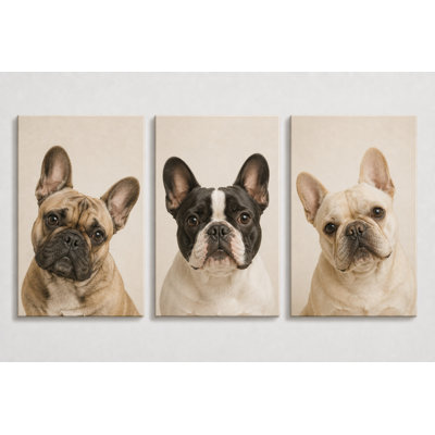 Large Set of 3 French Bulldog Wall Art, Neutral Dog  Canvas Decor for Bedroom, Living Room and Pet Lover Spaces 16x24 Inch Canvas Print - Ready to hang